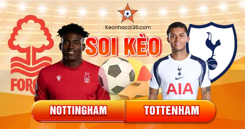 Soi Kèo Châu Á, Tài Xỉu, Châu Âu Nottingham vs Tottenham 00h30 15/12